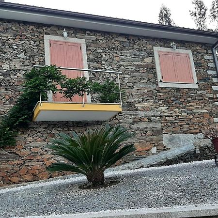 فيلا Casa Da Tia Bina قلعة بايفا المظهر الخارجي الصورة